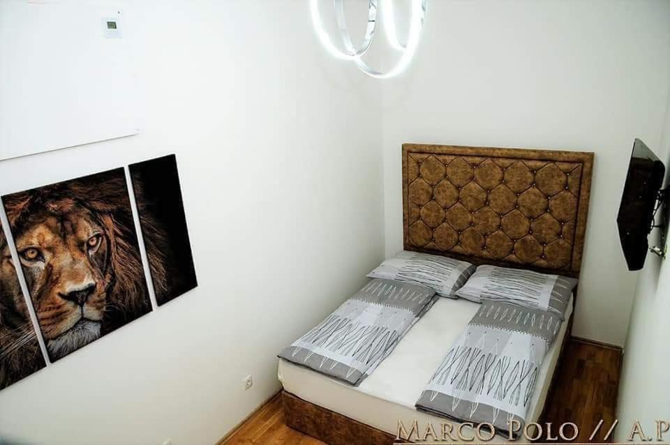 Markopolo Apartments ウィーン エクステリア 写真